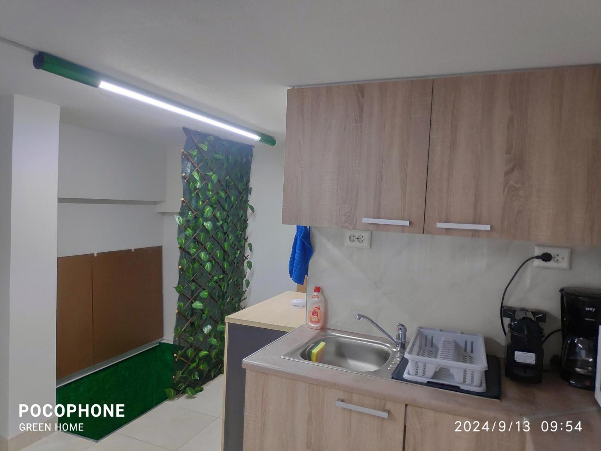 Green Home Atény Exteriér fotografie